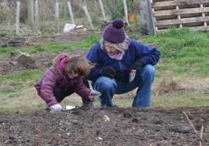 Sue shows a girl how to plant seed potatoes